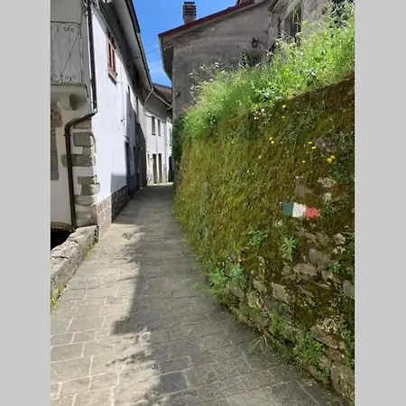 La Terrazza Sulle Apuane