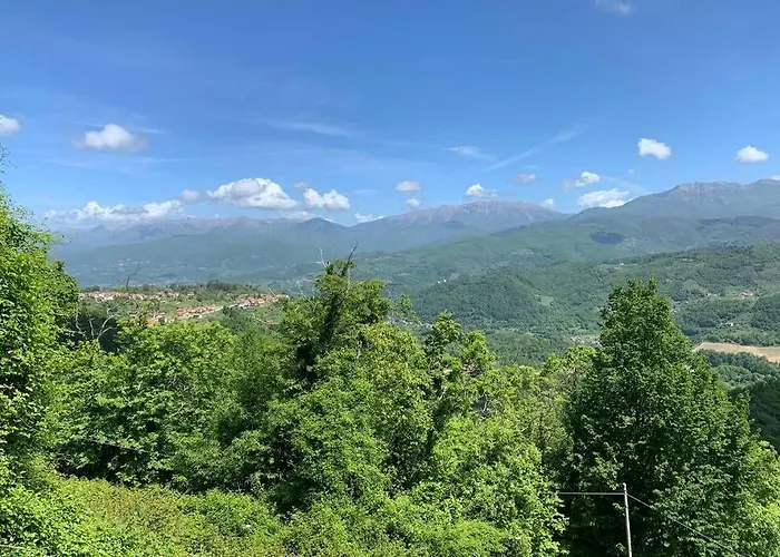 아파트 La Terrazza Sulle Apuane 피비쟈노