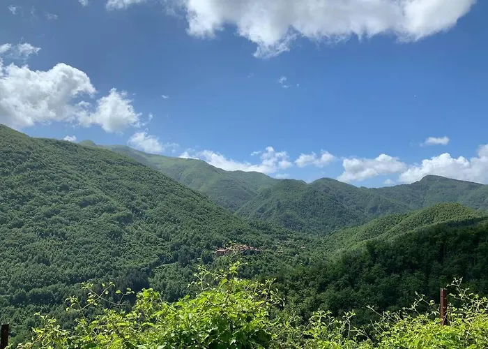아파트 La Terrazza Sulle Apuane