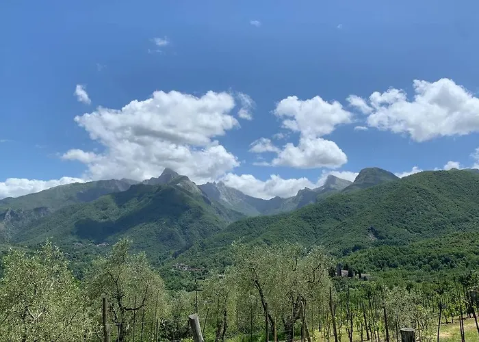 La Terrazza Sulle Apuane 아파트 피비쟈노